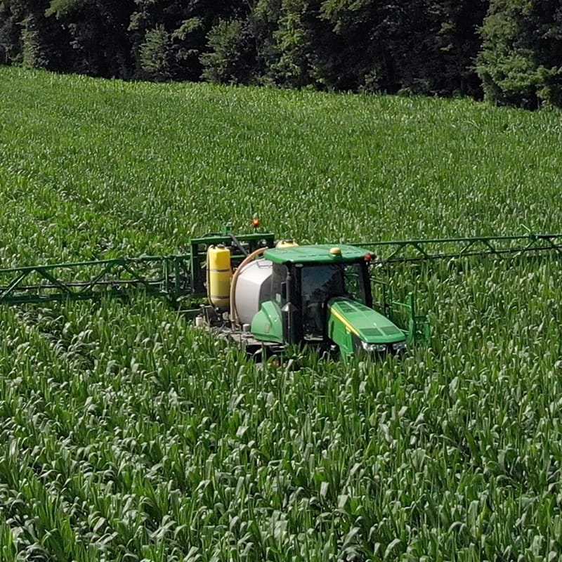 Tractor in corn field