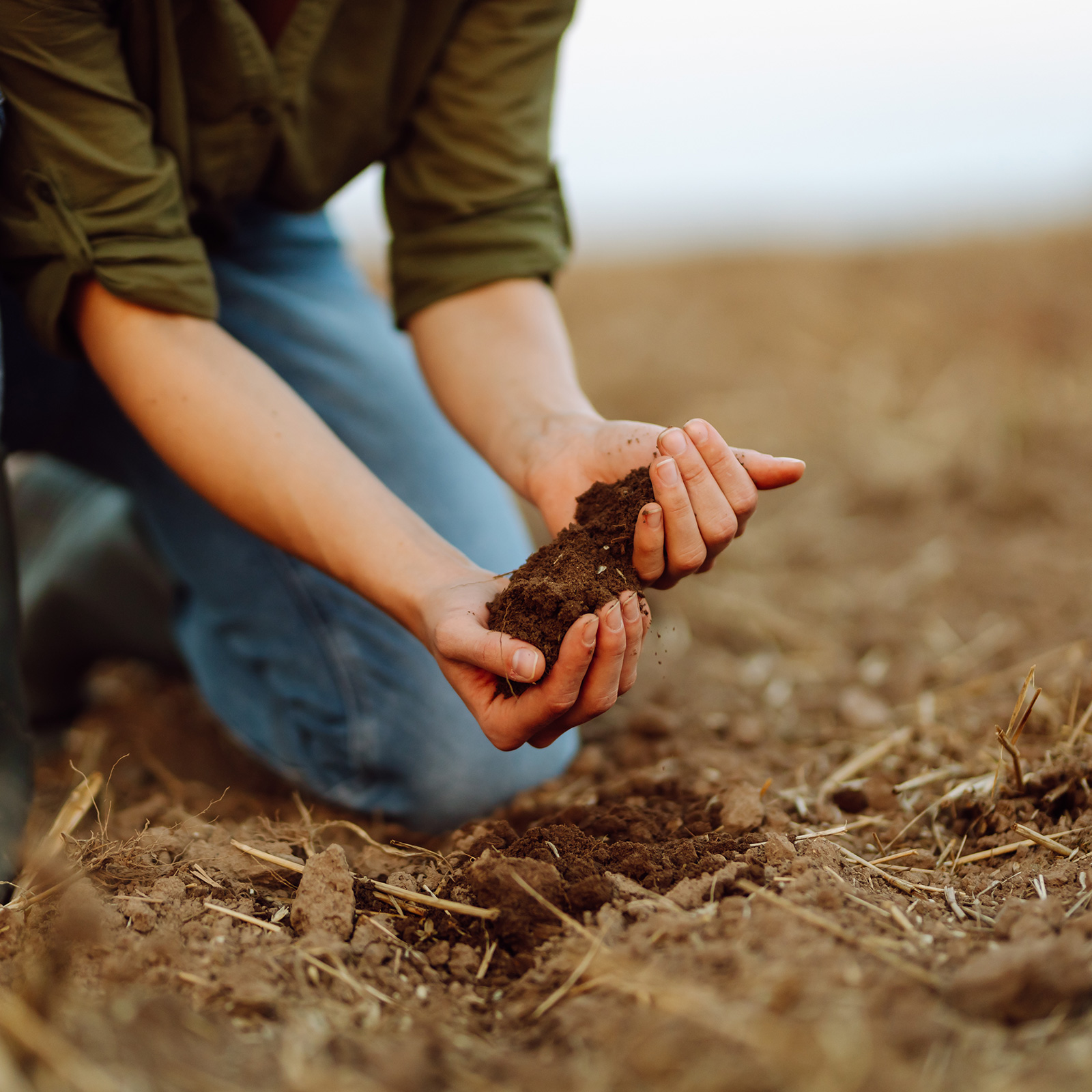 Agronomist examining soil composition.