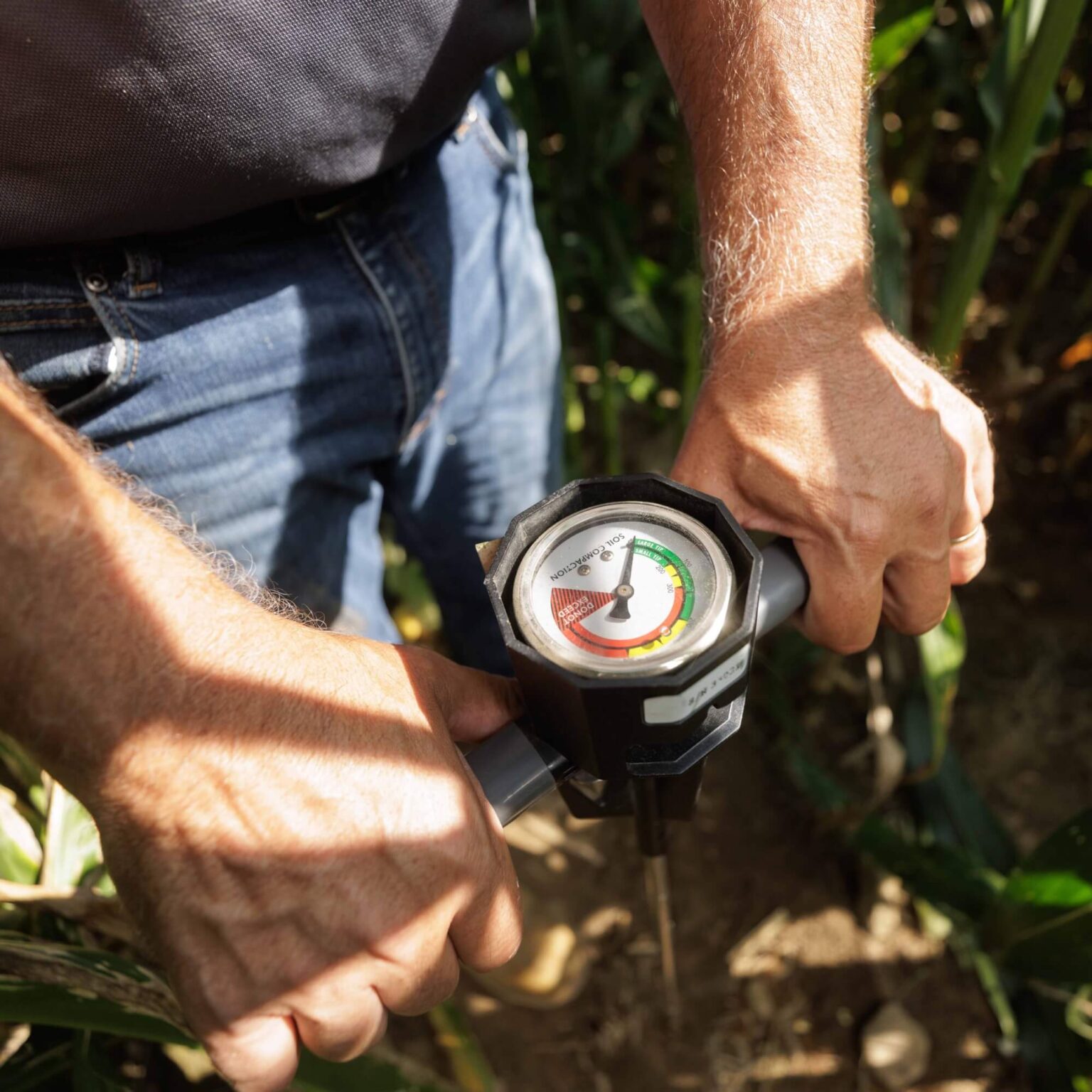 Crop Sciences | Our Services | T+S Crop Service, Inc.